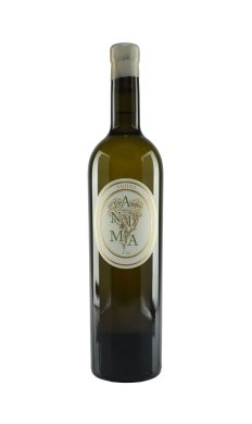 Clos Teddi Anima blanc 2023