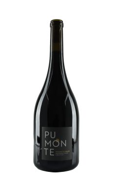 Domaine Alzipratu Pumonte rouge magnum 2022