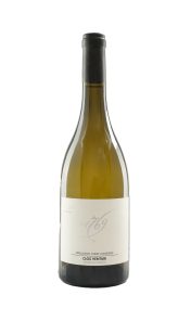 Clos Venturi 1769 blanc 2024