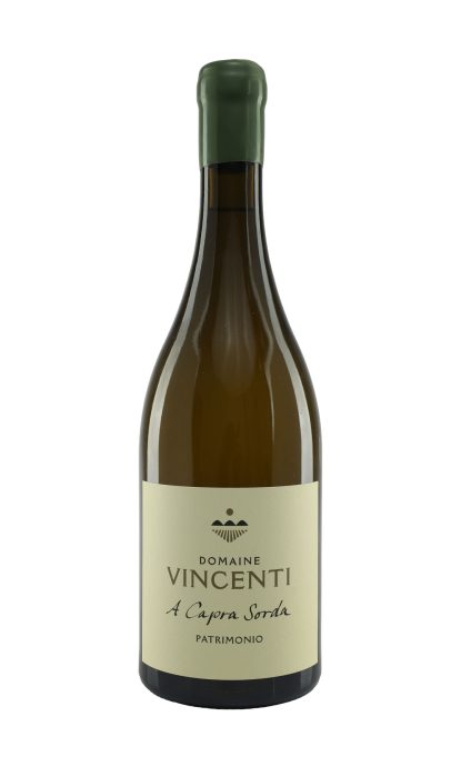 Domaine Vincenti Capra Sorda blanc 2024