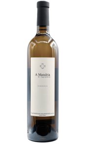 Clos Signadore A Mandria blanc 2010