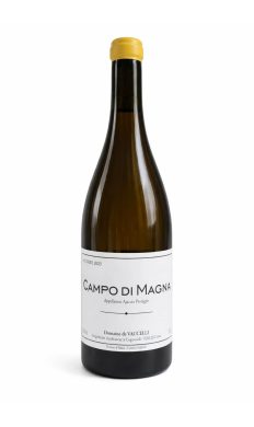 Domaine Vaccelli Campo Di Magna  blanc 2022