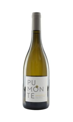 Domaine Alzipratu Pumonte blanc 2019