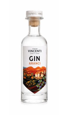 Domaine Vincenti Gin Aranci 45% 50cl