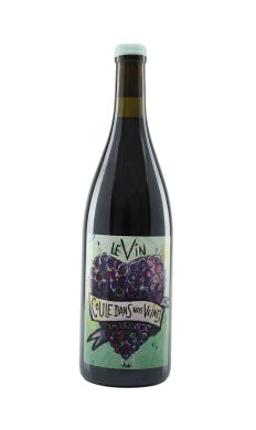 Domaine Giacometti Le Vin Coule rouge 2025